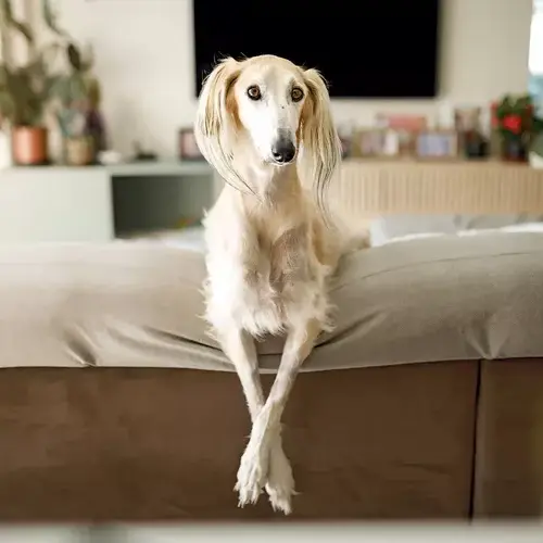 #